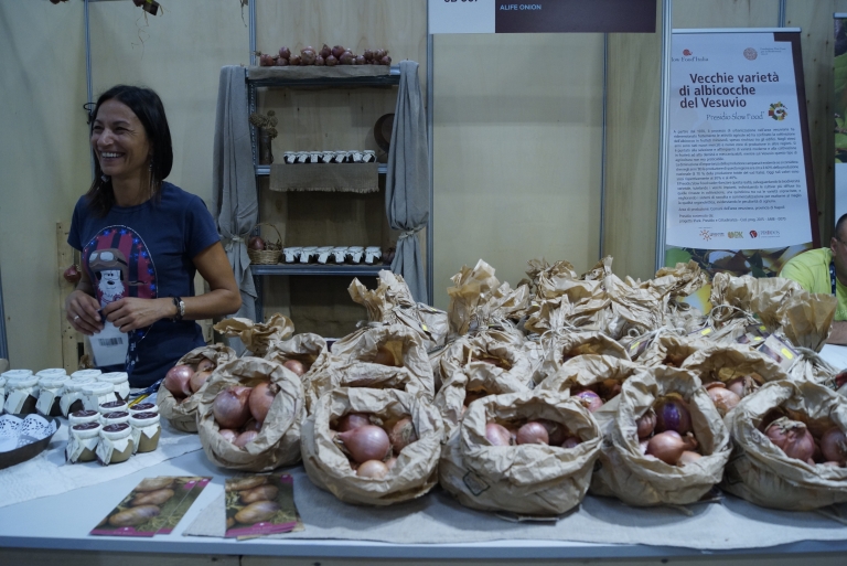 Presidium Alife Onion, Campania