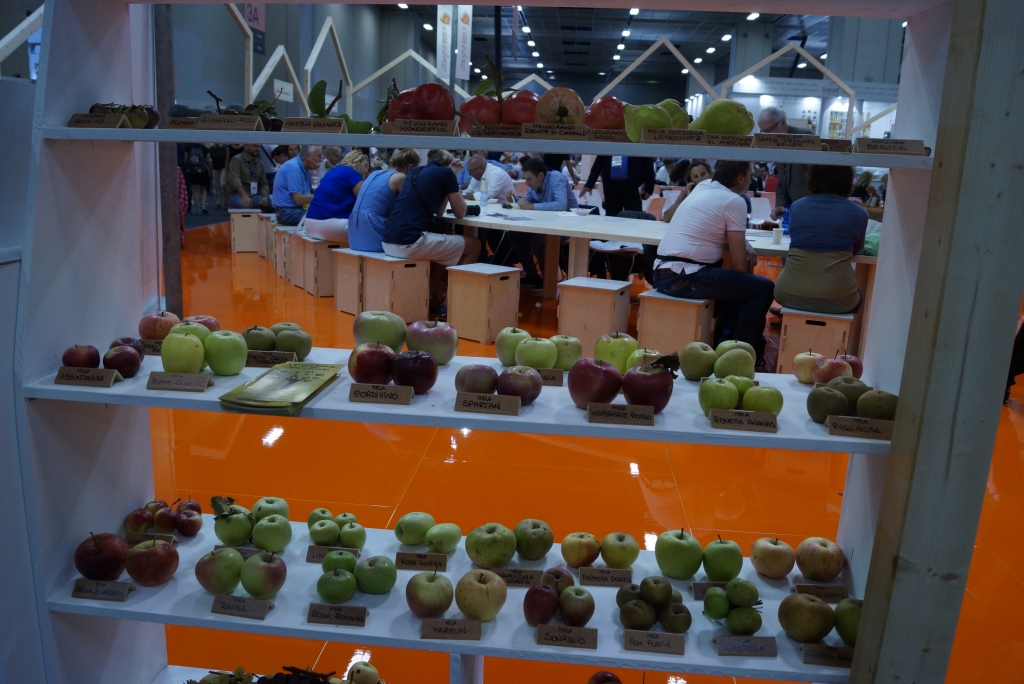 Ancient Fruits Display