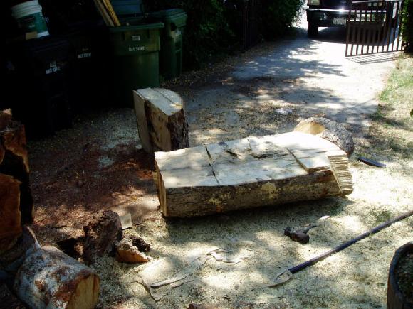 Once home, the problem is to filet the log and dress it for the lathe. I use a relatively small chainsaw and keep it very sharp. A larger saw will speed production. A very large bandsaw is ideal except for the initial cost which is still prohibitive.