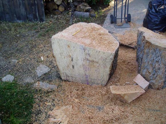 I'll cut a slab about 7 or 8 inches thick from this piece of Ash, then draw a circle on the face and cut an octagon before mounting a faceplate on the log and fitting it on the lathe.